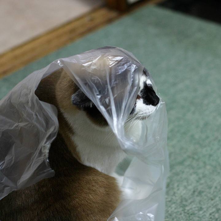 F81a8a33 8ed4 41ff b7a7 c3a90fdfb5a9