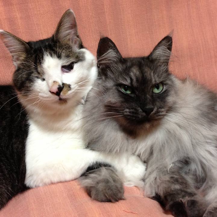 F81b2a11 360b 4779 93b2 be5107e7fb45