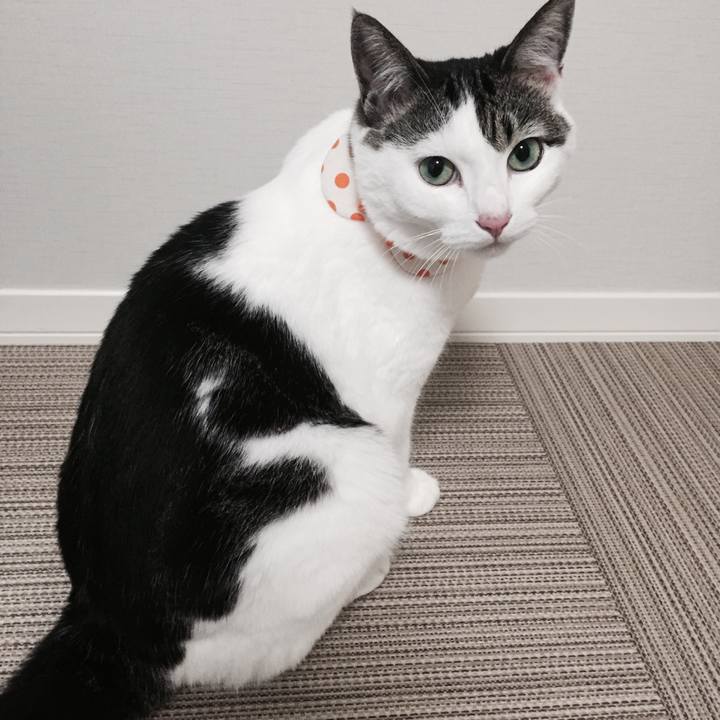 F81bbd19 d55c 4749 af5b ad4522d8ee7d