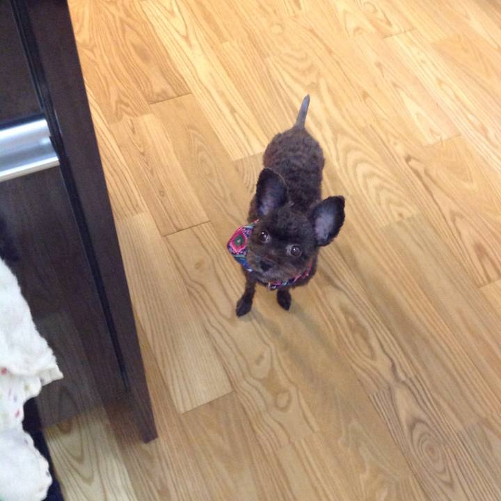 F81be67a 04fc 4325 a532 a660b644d8a7