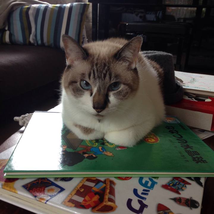 F81c1d0d 4bc0 48b3 86d3 630861b02cd1