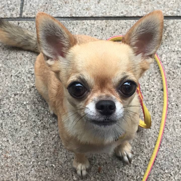 F81c34fa af48 4427 bbf9 70c50a3d2b1d