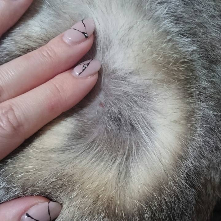 F81e758b d658 4d70 a92d dd09f195476a