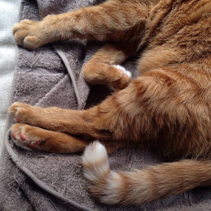 F81eff08 90d5 4b25 8a93 039e80269acc