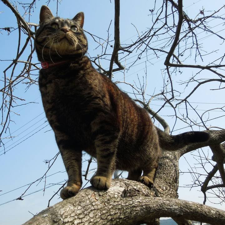 F81f3186 0cc3 4fe7 a0c8 6c6c64c30808