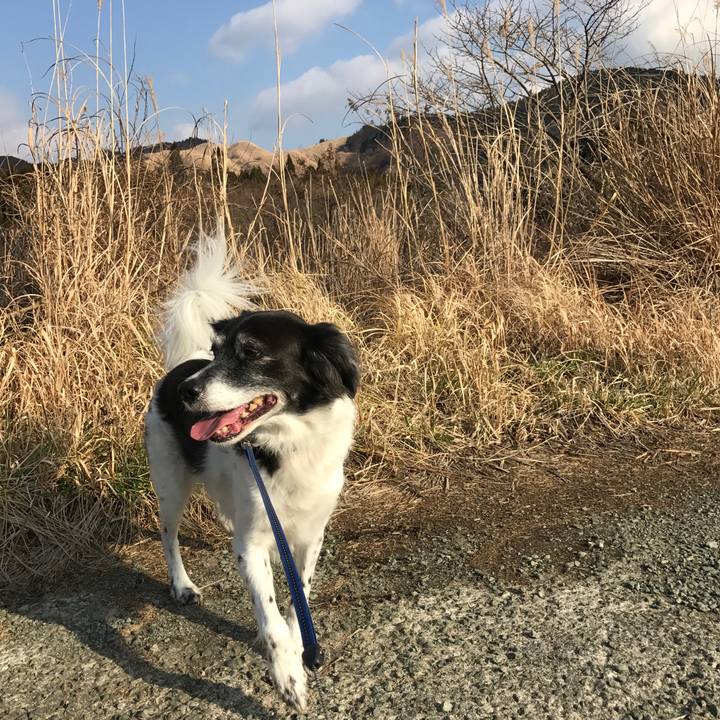 F820fe74 c303 4c31 9fc2 223c1584e156