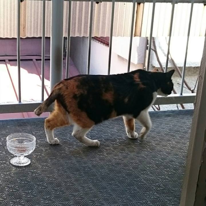 F8215b94 c5a6 4003 befe cefc2c3794e3