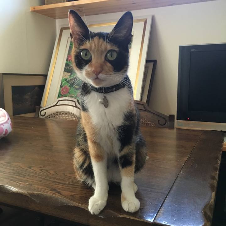 F8216f55 82be 4a20 86d4 9b38046a0950