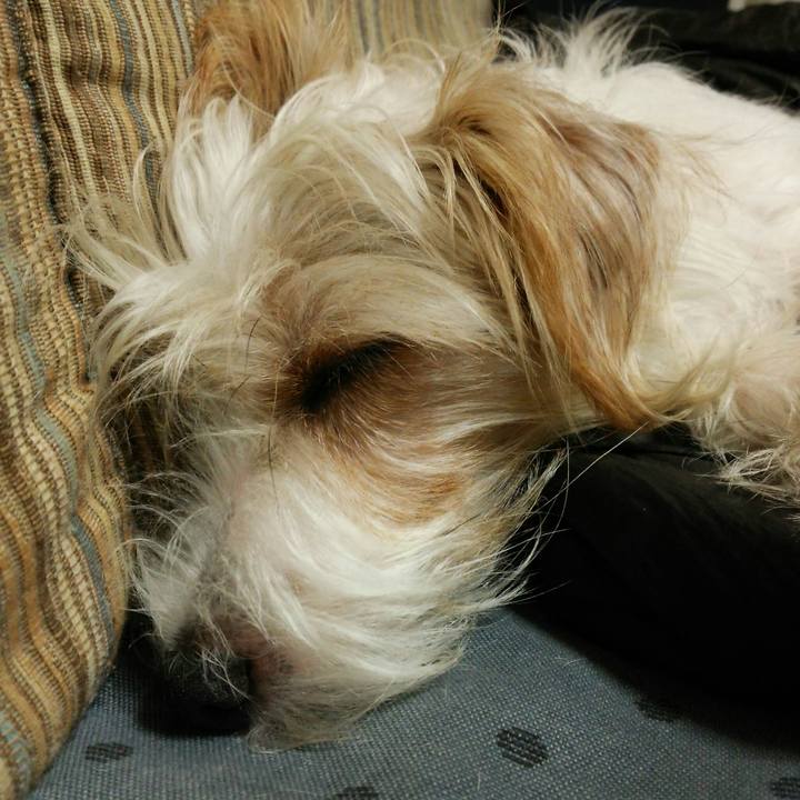 F821ca04 db7f 4cd9 876a 892c25386129