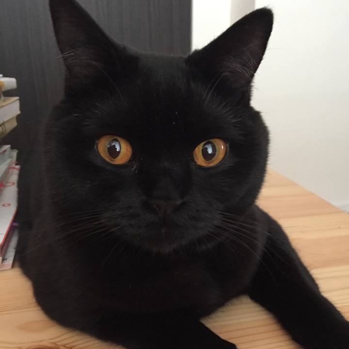 F821d7a3 e68f 4ad8 bb8a ab86d45ec34f