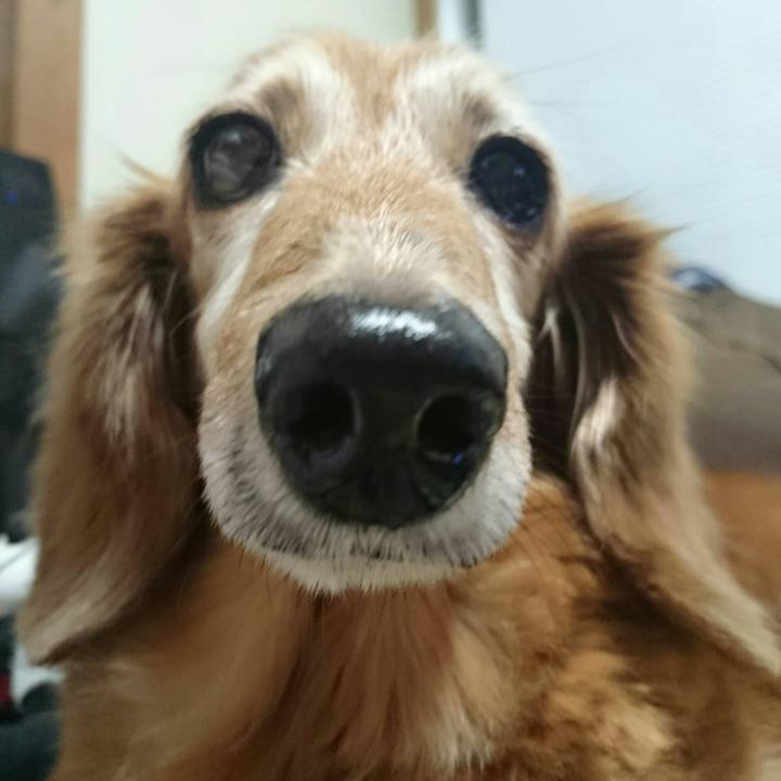 F822830d e44d 4867 864c 46788cdd3fc5