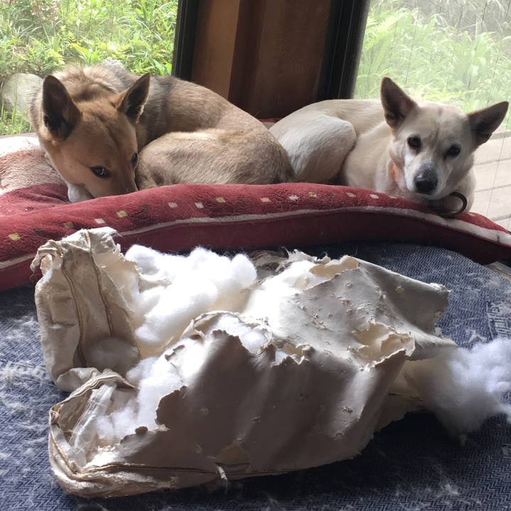 F822f3b8 7e91 4ab1 ba8a e39a01a05759