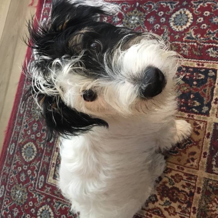 F8235ddd 562a 4438 b1cf 295a0471d3ed