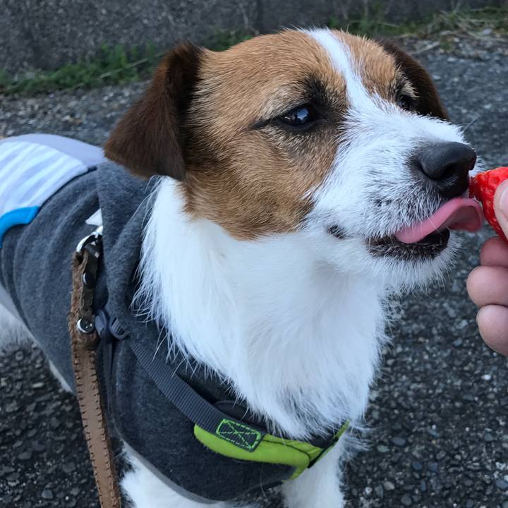 F8235e89 3ab9 4ade 9e9b a4aef9a85c80