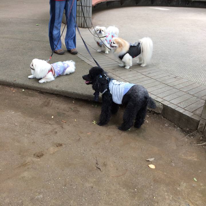 F8237791 d8f4 4f13 b182 c726c87e70a5