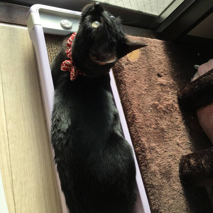 F823b3a1 ddfd 41c4 82f1 649f1c33ee04