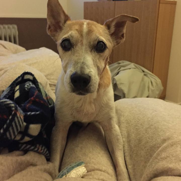 F823d60a 57ba 429f a801 21223c2a20ce