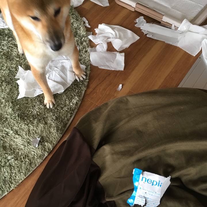 F823faba 5750 45e6 b9c6 d5c5c80ce88b