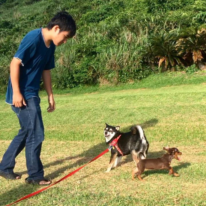 F824436f 49de 43bd b738 fd7acd535913