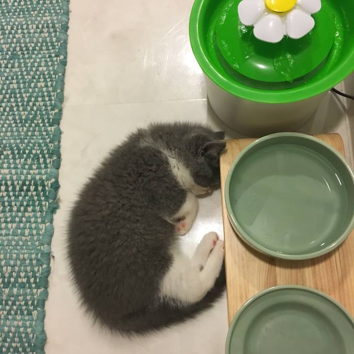 F825b253 433d 4cb5 ba07 a26c93745be6