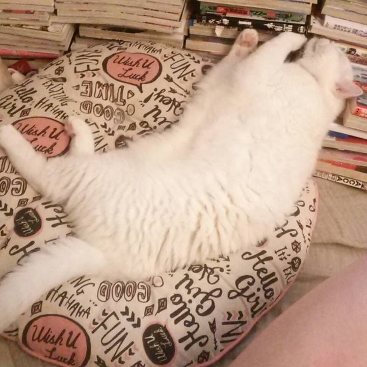 F825e33b 3a24 498a 80d7 dabe7d341855