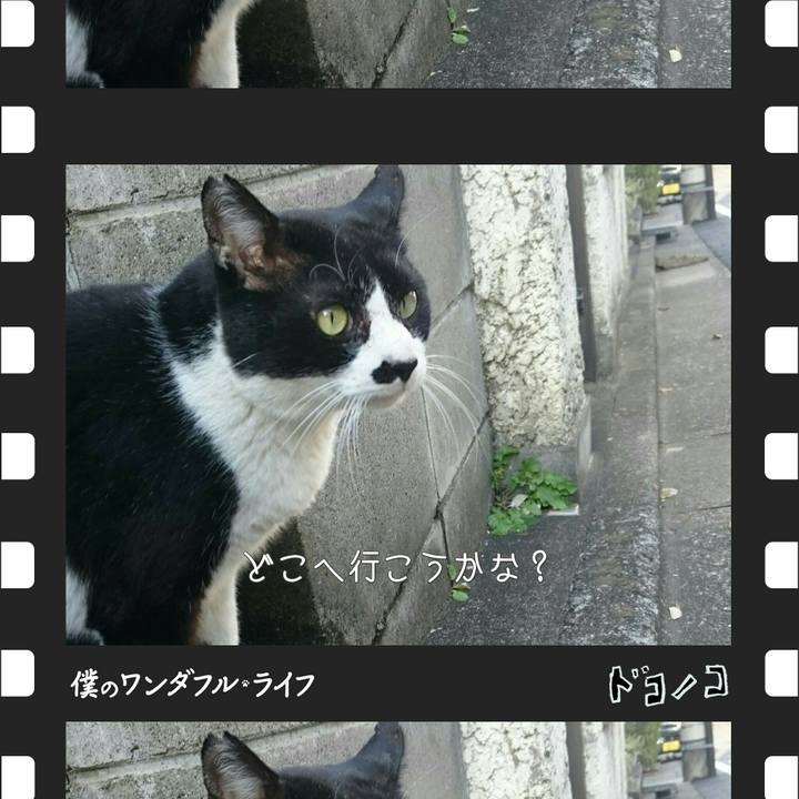 F827351d fe73 42ff aee2 4b0e44df2c3f