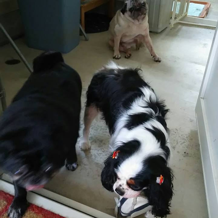 F8274ac1 2514 4820 8cb1 14d7b2a3e2f7