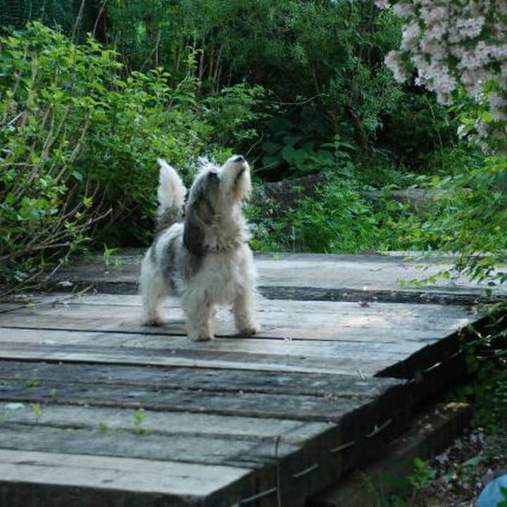 F8276d7a 3af0 4300 8c69 df5a9bbe73d4