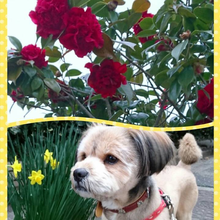 F827e363 087a 4ffa b4e9 97398e2e386a