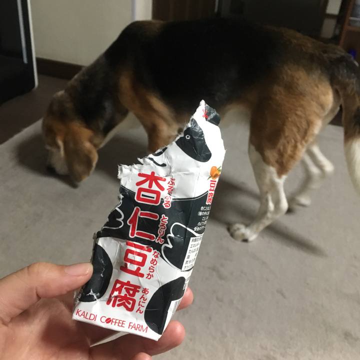 F827f7af f086 454b a221 c507a8ff57dd