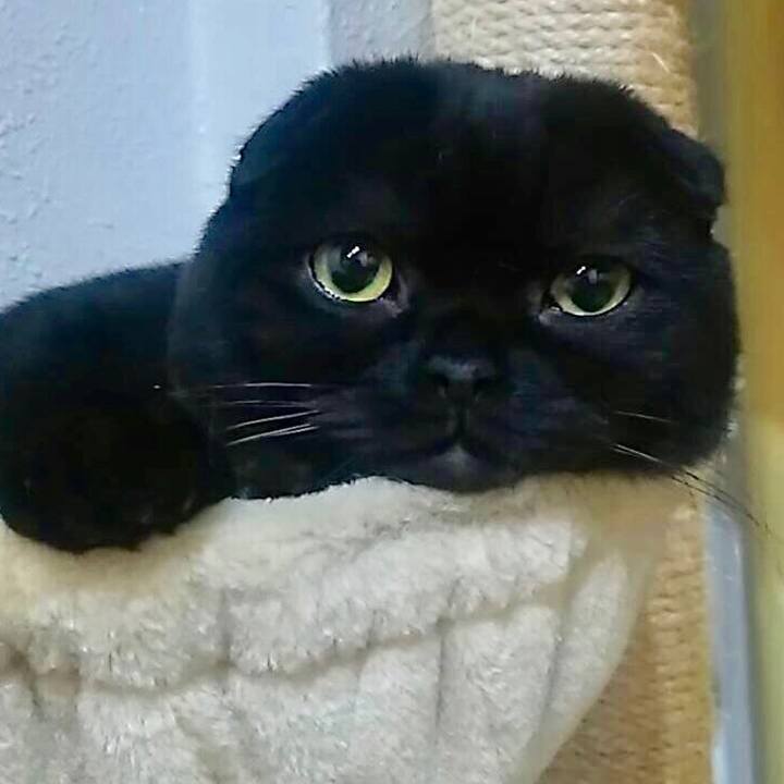 F8283b51 bc9b 41c0 a4a2 31fadf950536