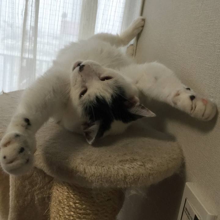 F828e4e3 2701 48a1 bea7 198c9783477a