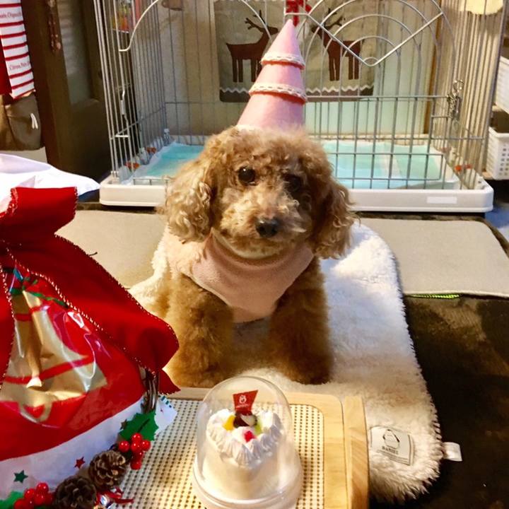 F828f900 386a 414b 972c 0fc59fb9ce42