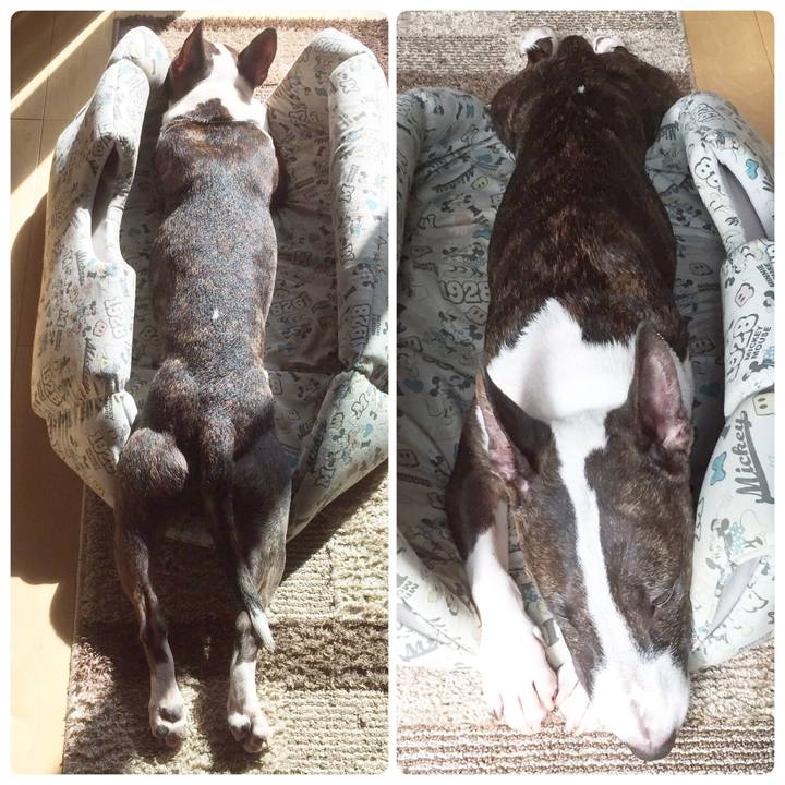 F8292fee 5b24 42c5 8f77 8b3f614fc2ac