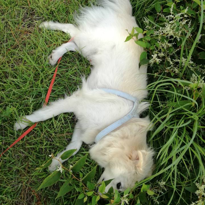 F8297dad 1335 4ee0 bfe9 2cf24ead85b3