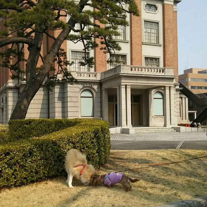 F829fb18 3ea2 4c01 85ae c4bcf28c3896