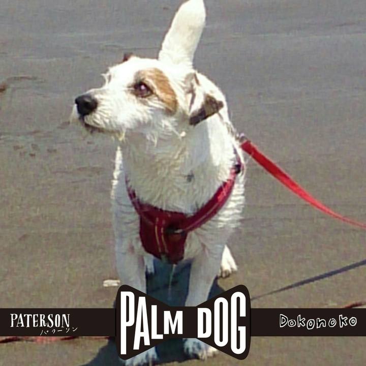 F82a5436 051c 486b 9157 cb3c808c31db