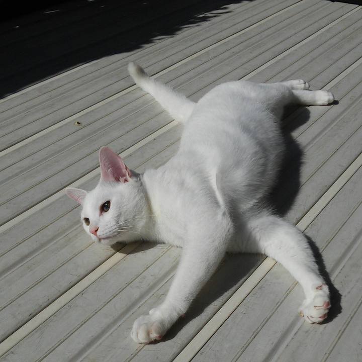 F82a8bcd 7ce0 40cf b2cb 972f97c86ea7