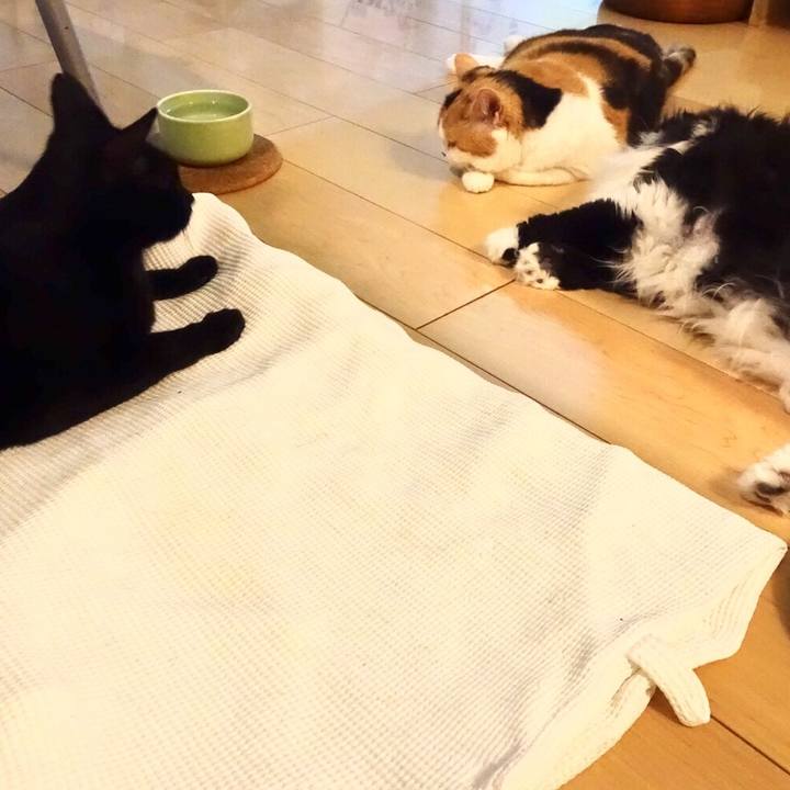 F82a8d27 9e72 40e2 9630 64591379c7b9