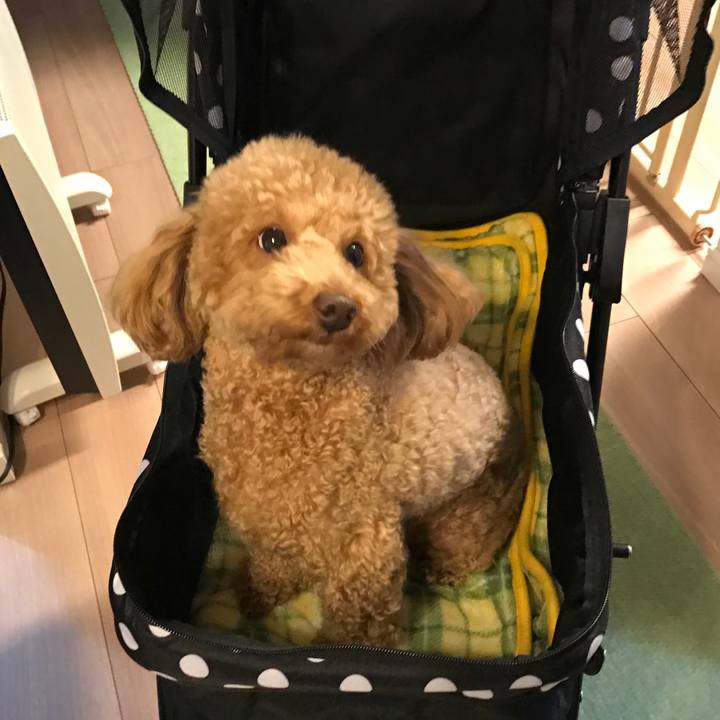 F82ac3b2 8e4e 47f7 9537 4edaa0e0112c