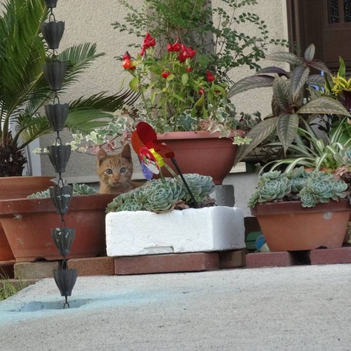 F82b5b97 d6b3 4b1e 8f77 28c8b65a8402