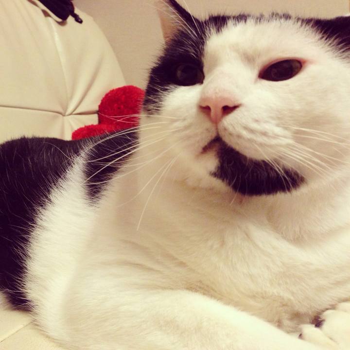 F82b6ed5 052f 44b4 ab6f de043129015a