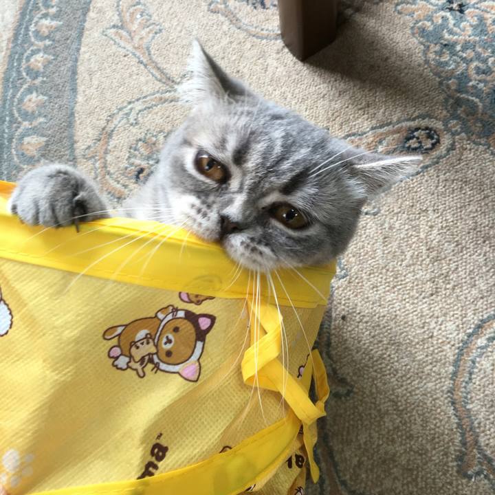 F82b89c2 227e 4d7e b143 997390973ab3