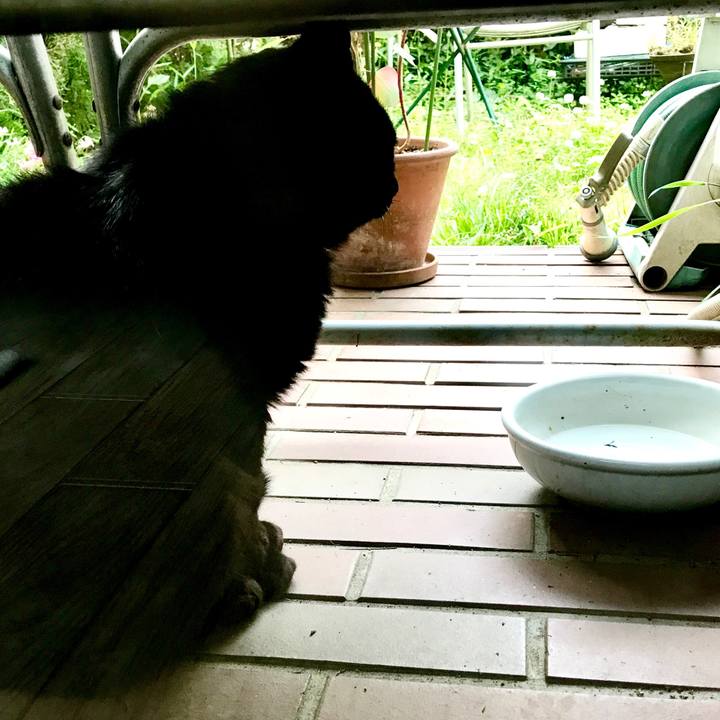 F82b95e0 9a34 487b a26c 8e4ff51ca242