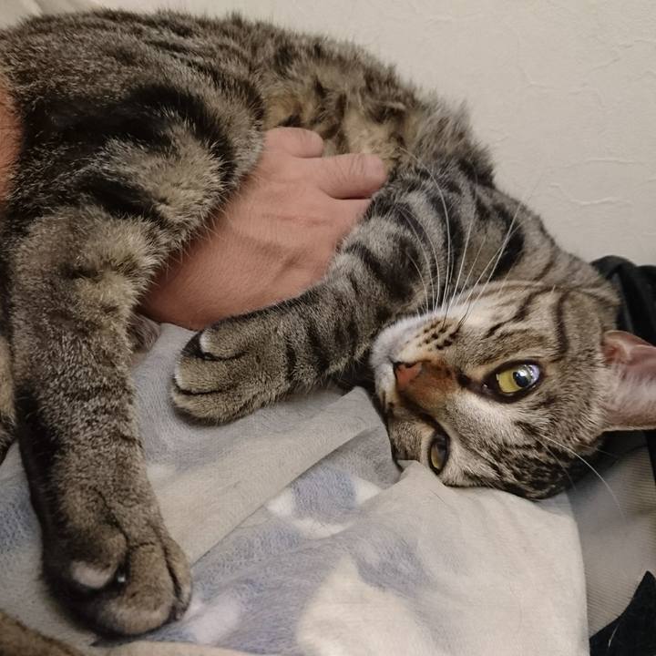 F82c0b10 b45e 4821 8398 33b0875cf389