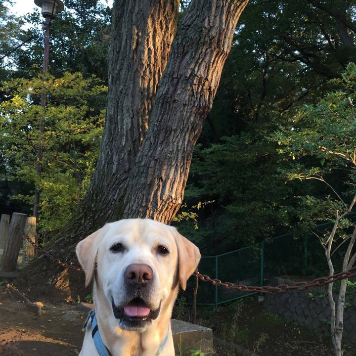 F82d2a7f 1ed2 4d56 90fb 9c53307e3916