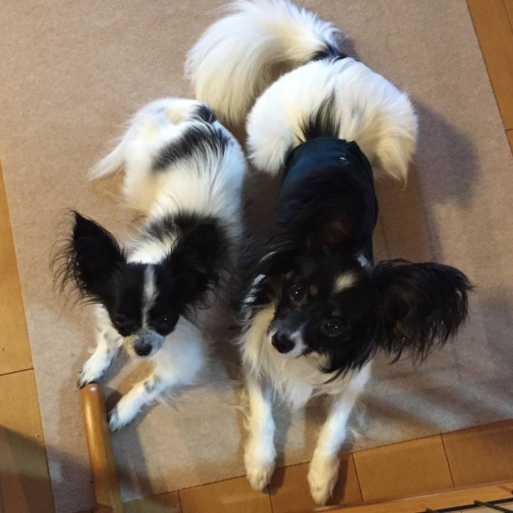 F82d5ae5 ec1b 4436 a420 6c029fcb77db