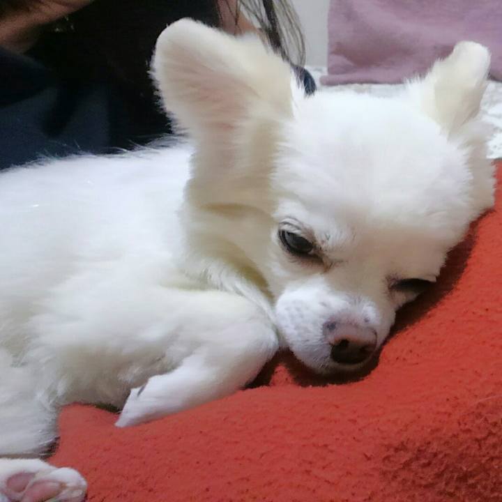 F82d943f e6d1 4595 a988 46b6e4a1d687