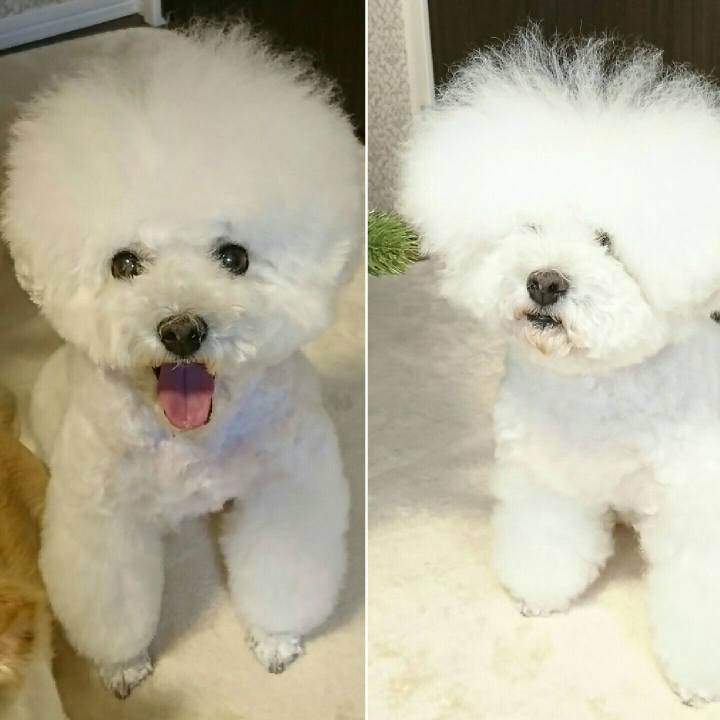 F82d9989 71f4 4fc7 b01c a7e7ff1f4413