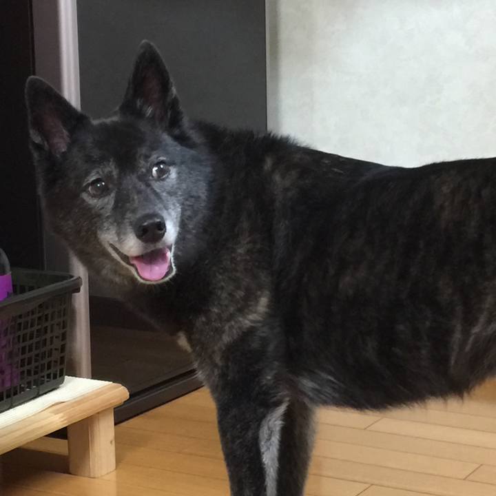 F82db37d 98e9 4b15 8b73 01c65c1eb500